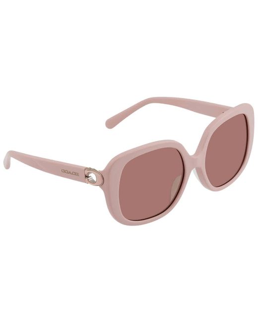 COACH Pink Light Brown Square Sunglasses  569173 56