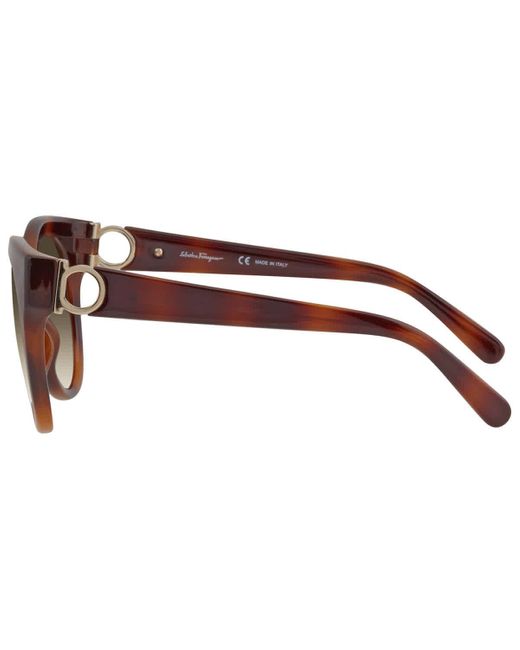 Ferragamo Brown Cat Eye Sunglasses Sf1031s 214 53