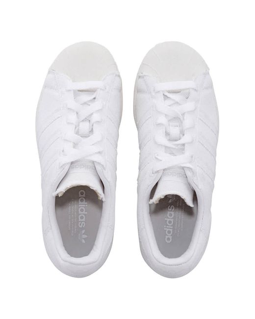 Adidas White Superstar Low Top Sneakers for men