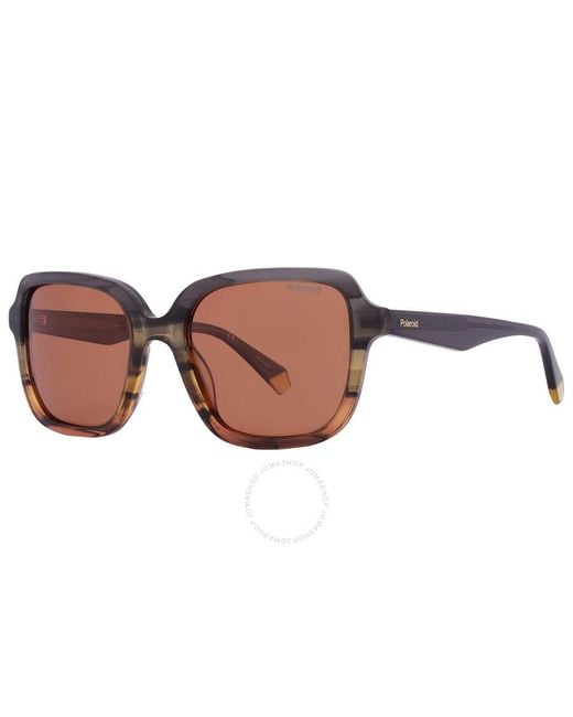 Polaroid Brown Square Sunglasses Pld 4095/s/x 0m9l/he 53