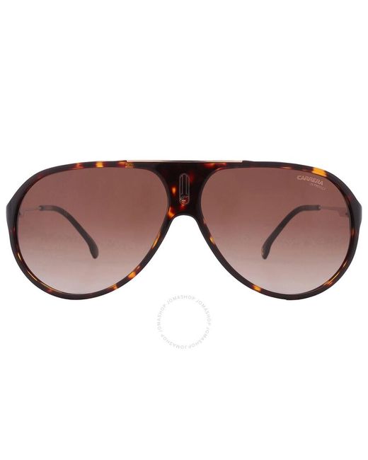 Carrera Brown Shaded Pilot Sunglasses Hot 65 0086/ha 63