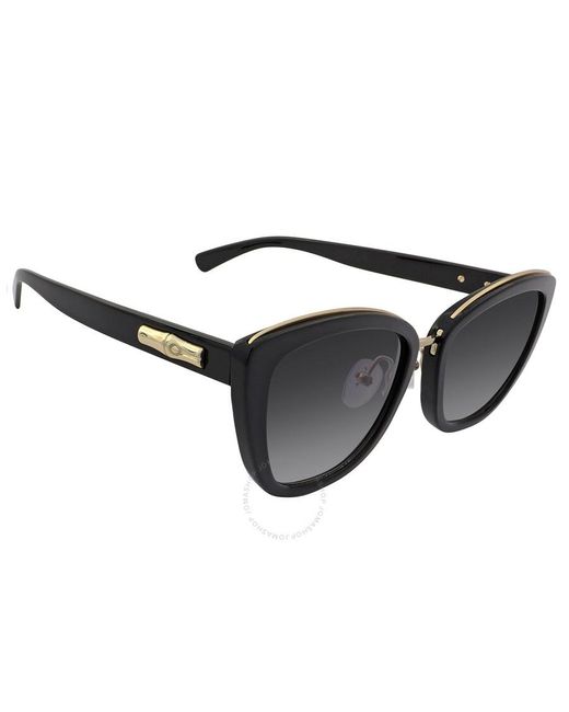 Longchamp Brown Grey Gradient Cat Eye Sunglasses