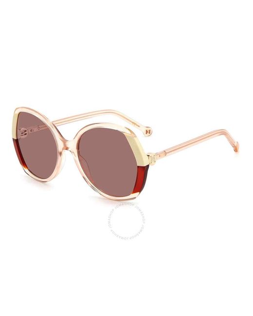 Carolina Herrera Pink Burgundy Butterfly Sunglasses Ch 0051/s 0dln/4s 58
