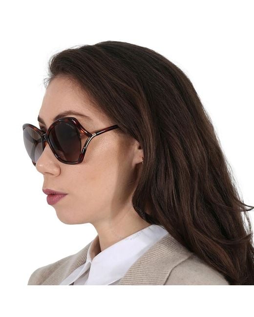 Tom Ford Brown Astrid Gradient Roviex Butterfly Sunglasses