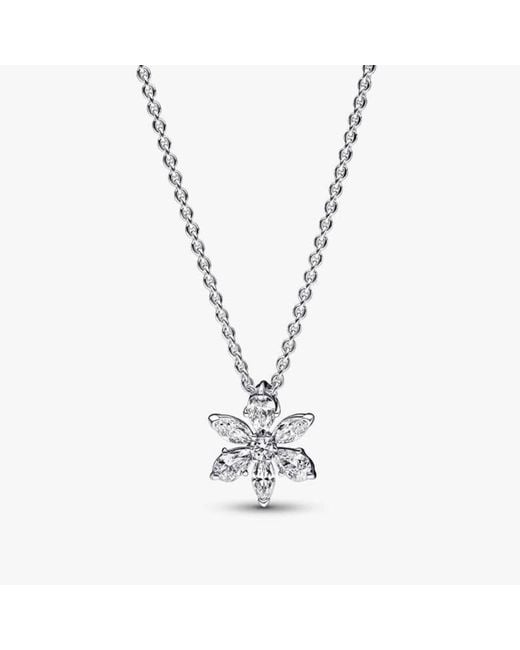 Pandora Metallic Herbarium Cluster Sterling Collier