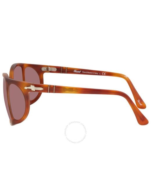 Persol Brown Violet Wrap Unisex Sunglasses  96/4r 54