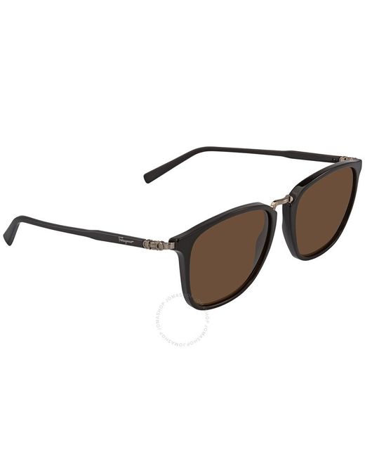 Ferragamo Brown Square Sunglasses for men