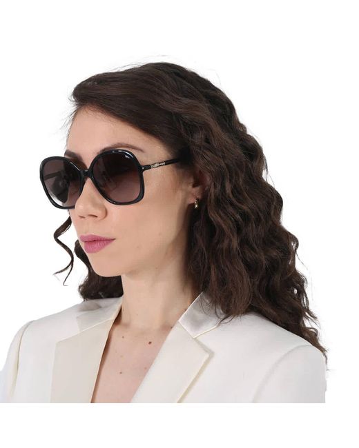 Longchamp Black Brown Shaded Butterfly Sunglasses Lo711s 001 59