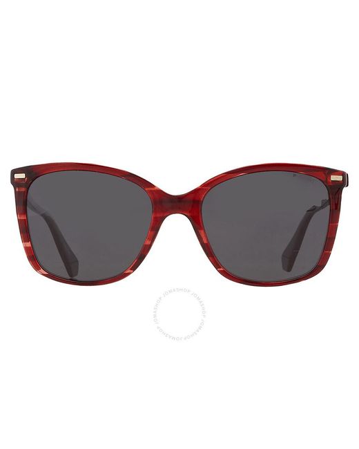 Polaroid Black Grey Square Sunglasses Pld 4108/s 00uc/m9 55