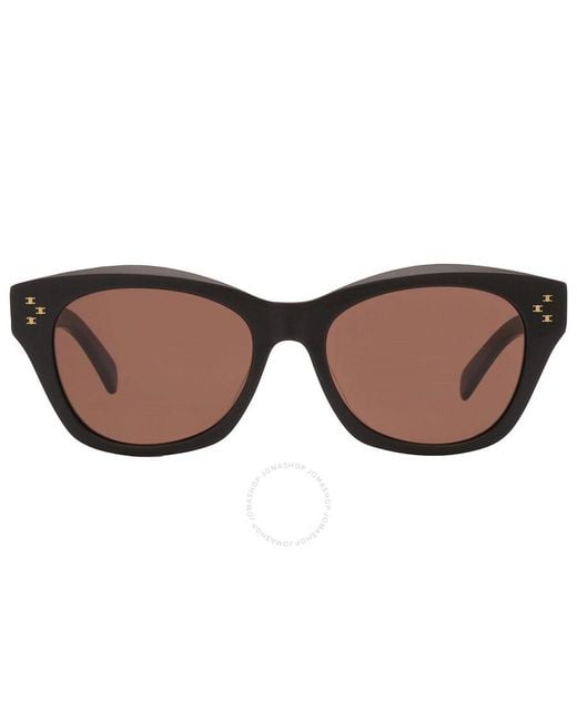 Céline Brown Cat Eye Sunglasses Cl40217u 01e 55