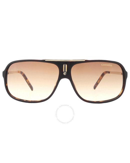 Carrera Black Light Brown Gradient Navigator Sunglasses Cool Csvid 65