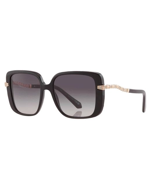 BVLGARI Black Grey Gradient Square Sunglasses Bv8237b 501/8g 55