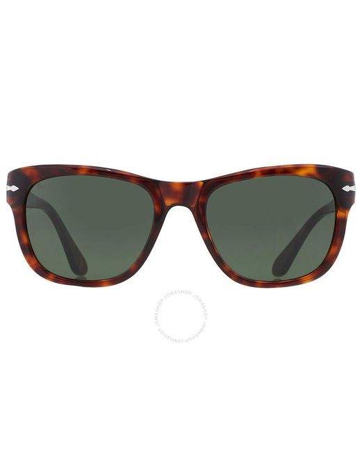 Persol Brown Green Square Sunglasses Po3313s 24/31 55