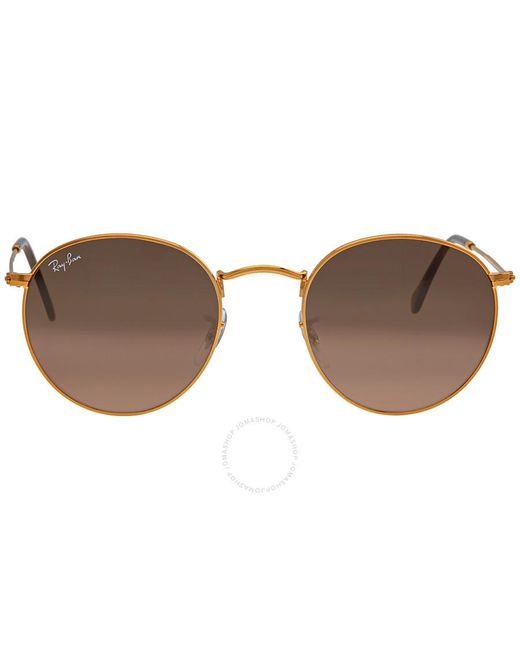 Ray-Ban Brown Eyeware & Frames & Optical & Sunglasses Rb3447 9001a5