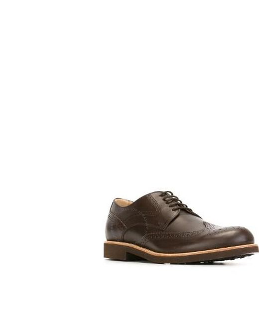Tod's Brown Classic Brogue Shoes for men