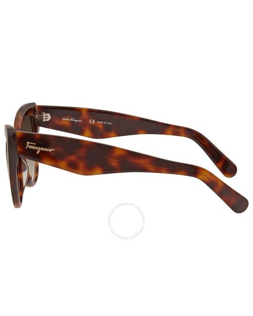 Ferragamo Brown Green Gradient Cat Eye Sunglasses Sf930s 238