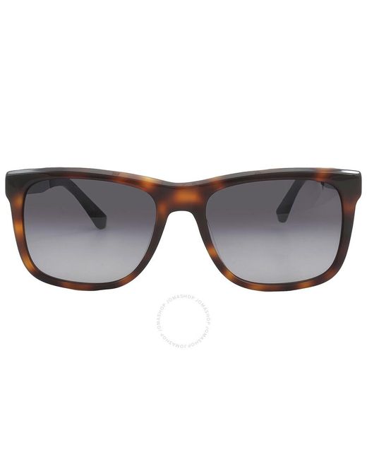 Calvin Klein Black Brown Gradient Square Sunglasses Ck22519s 236 56 for men
