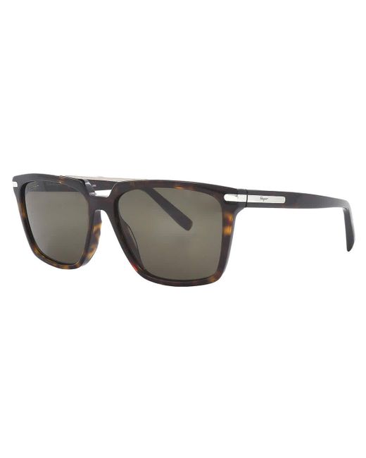 Ferragamo Metallic Brown Browline Sunglasses Sf1037s 240 57 for men