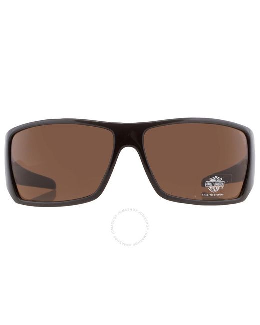 Harley Davidson Brown Gradient Wrap Sunglasses Hd0571s E13 66 for men