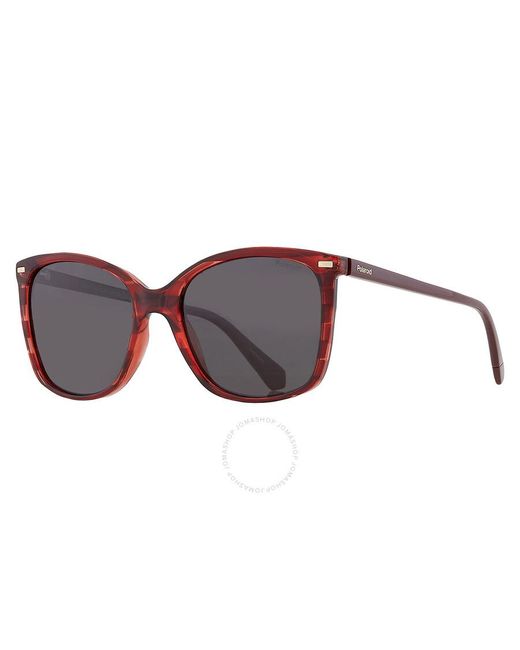 Polaroid Black Grey Square Sunglasses Pld 4108/s 00uc/m9 55