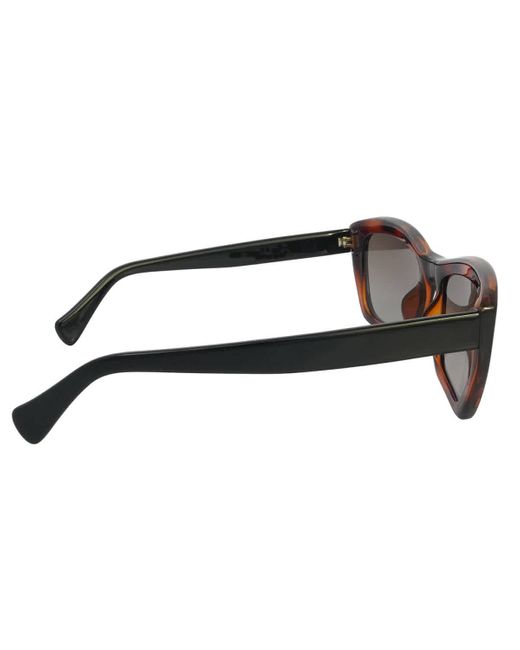 Ferragamo Brown Cat Eye Sunglasses Sf958s 214