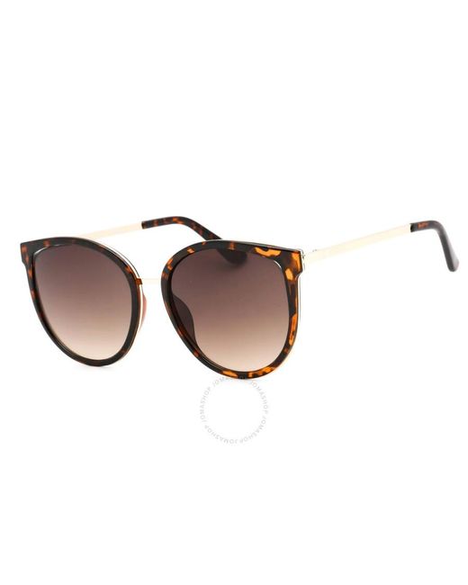 Guess Factory Brown Teacup Sunglasses Gf0428 52e 56