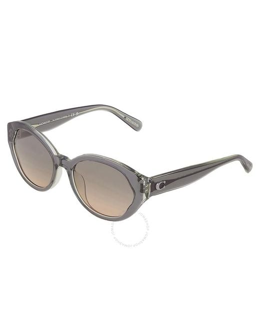 COACH Gray Green Beige Gradient Oval Sunglasses Hc8364u 574613 55
