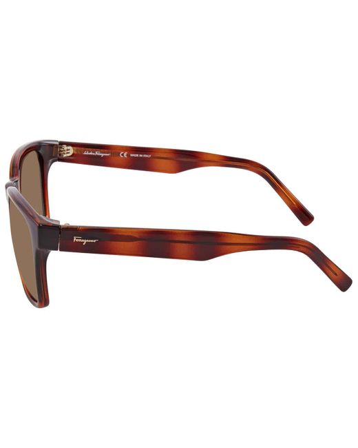 Ferragamo Brown Square Sunglasses Sf959s 214 55