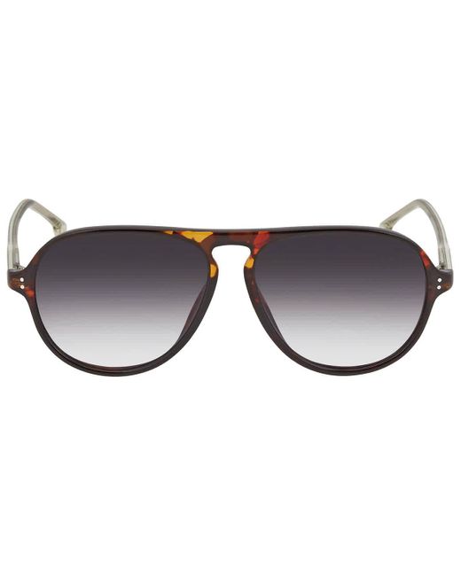 Carrera Black Gradient Pilot Sunglasses 198/s 0086/9o 57