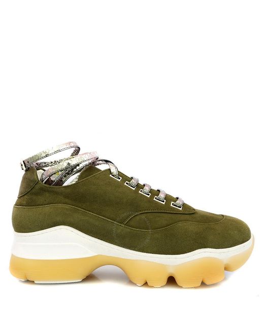 Giannico Green Olive Kylie Python Lace Sneakers