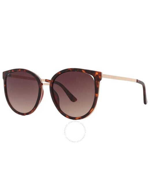 Guess Factory Brown Teacup Sunglasses Gf0428 52e 56