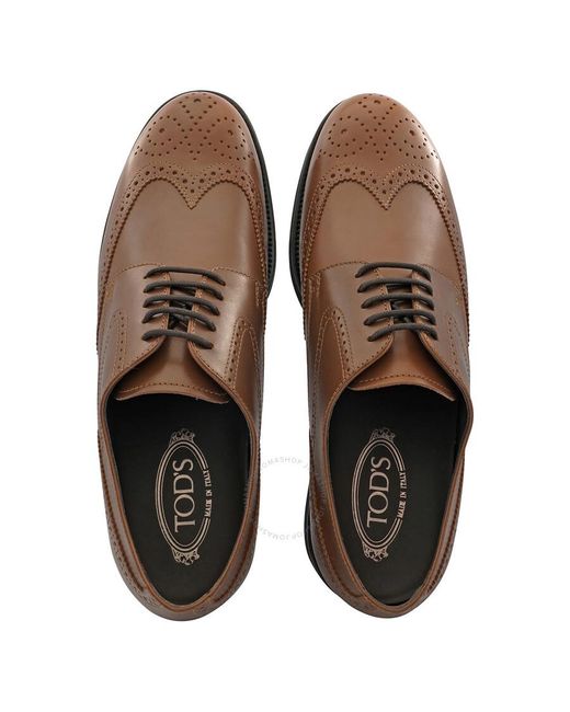 Tod's Brown Lace-up Perforated Leather Derby Shoes for men