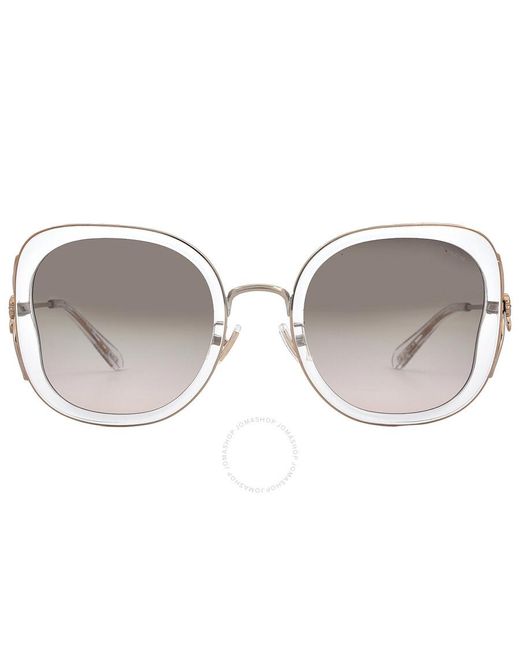 COACH Gray Grey Pink Gradient Butterfly Sunglasses Hc7153b 5111u8 54
