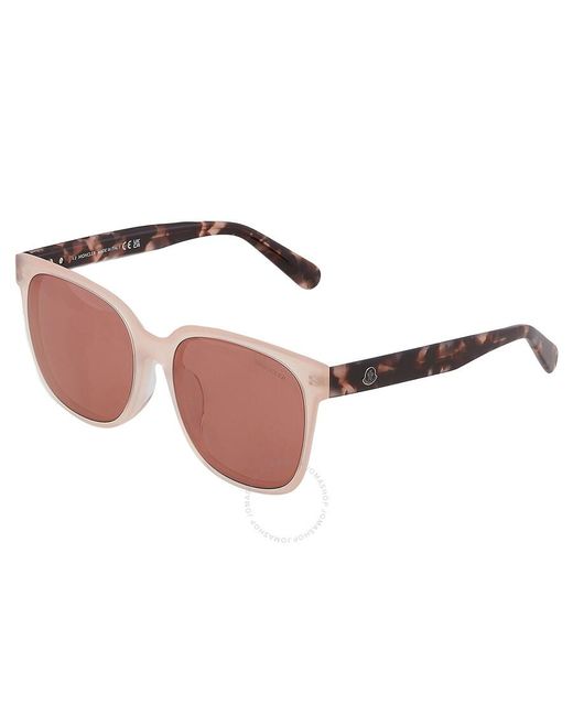 Moncler Pink Violet Square Sunglasses Ml0198-f 72y 57