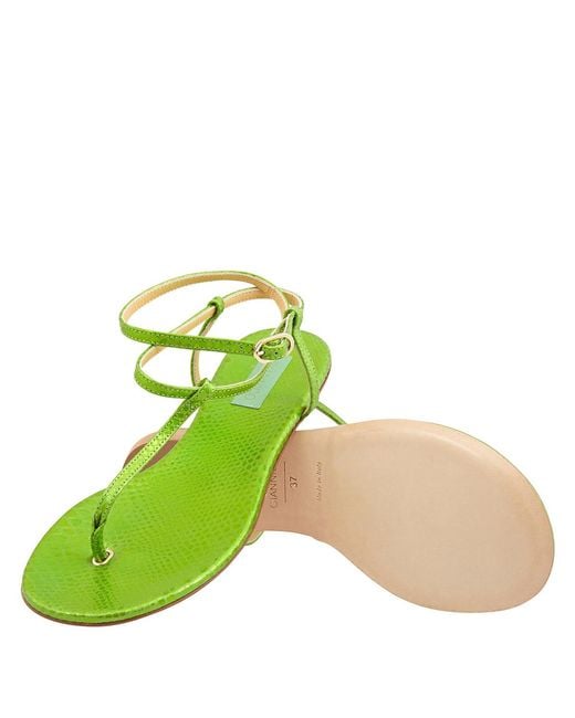 Giannico Green Ladies Kai Flip Flops Leather Flats, Brand Size 38 (Us