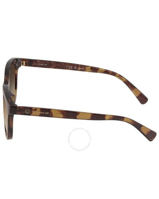 COACH Brown Polarized Gradient Oval Sunglasses Hc8285u 5120t5 56