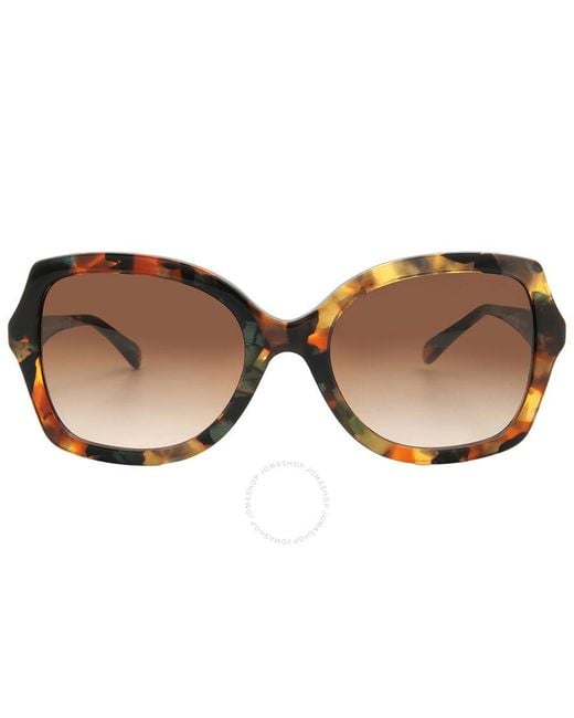 COACH Brown Gradient Butterfly Sunglasses Hc8410u 584474 56