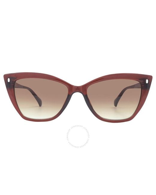 Calvin Klein Brown Gradient Butterfly Sunglasses Ck22551s 210 55