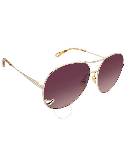 Chloé Purple Brown Pilot Sunglasses