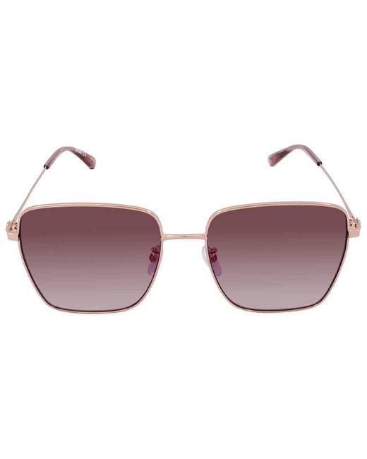 Moschino Brown Mchino Pink Gradient Square Sunglasses M072/g/s 0ddb/3x 59
