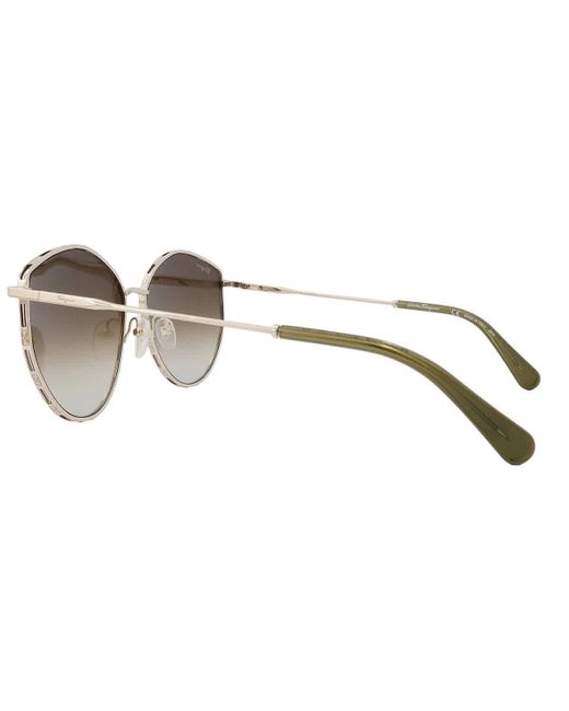 Ferragamo Brown Green Gradient Horn Sunglasses Sf264s 709 60