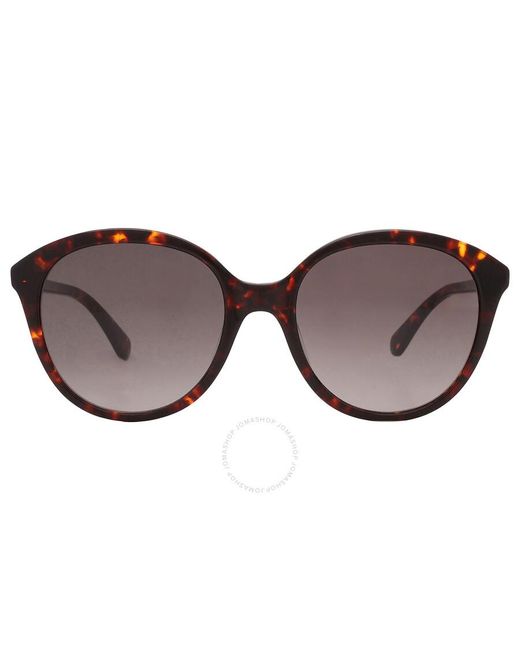 Kate Spade Brown Gradient Oval Sunglasses Bria/g/s 0086/ha 55