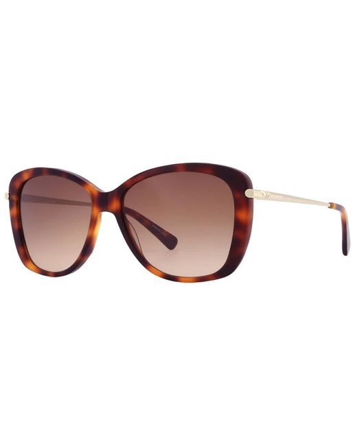 Longchamp Brown Gradient Butterfly Sunglasses Lo616s 725 56