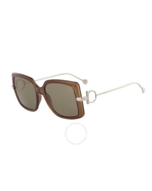 Ferragamo Brown Square Sunglasses Sf913s 210 55