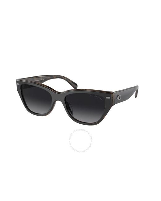 COACH Black Polarized Grey Gradient Cat Eye Sunglasses Hc8370f 5764t3 56