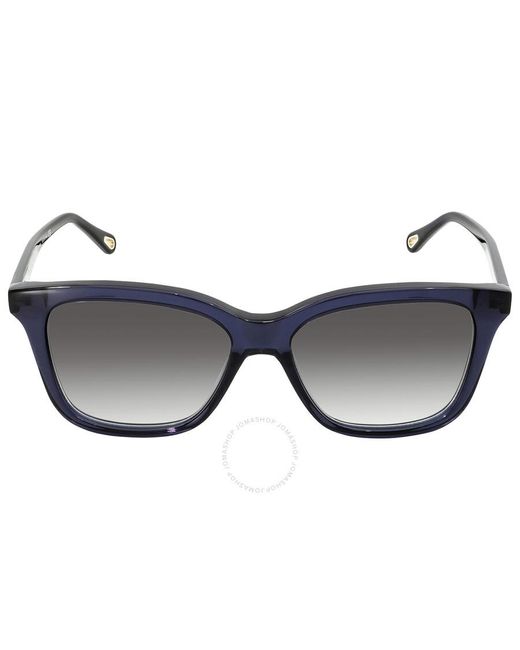 Chloé Blue Grey Rectangular Sunglasses  003 56