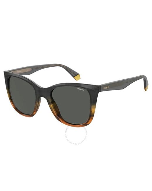 Polaroid Black Polarized Grey Cat Eye Sunglasses Pld 4096/s/x 0xyo/m9 52