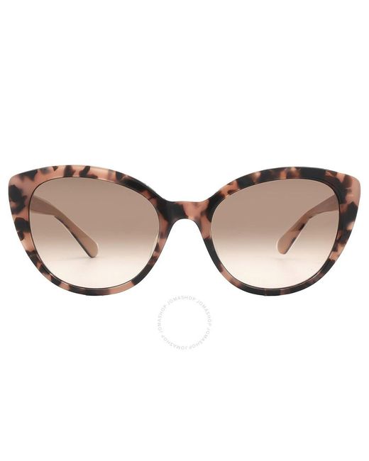 Kate Spade Brown Pink Gradient Cat Eye Sunglasses Amberlee/s 0ht8/m2 55