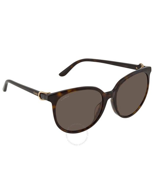 Cartier Brown Cat Eye Sunglasses Ct0003sa 002