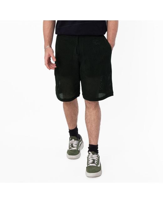 Burberry Green Ekd Embroidered Cotton Mesh Shorts for men